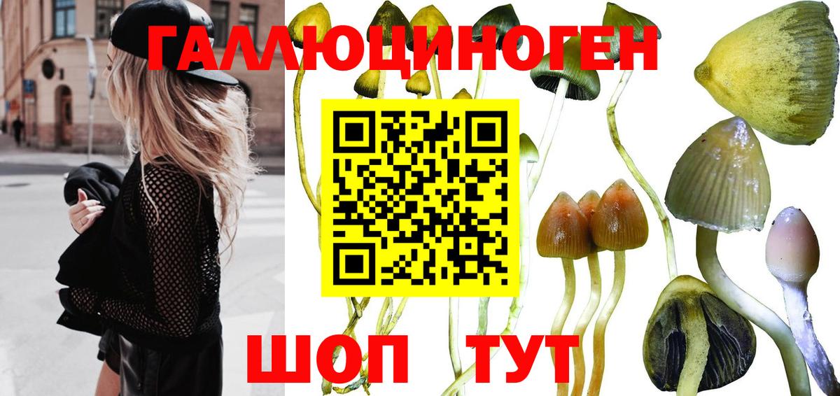Псилоцибиновые грибы Magic Shrooms  Вход с VPN  наркошоп  Кулебаки 